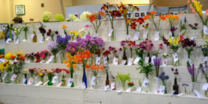 Floral display at the fair.
