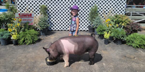 Child with a pig.