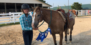 Equestrian and horse.