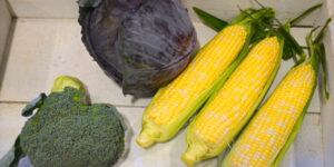 Various vegetables.