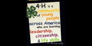 4-H poster.